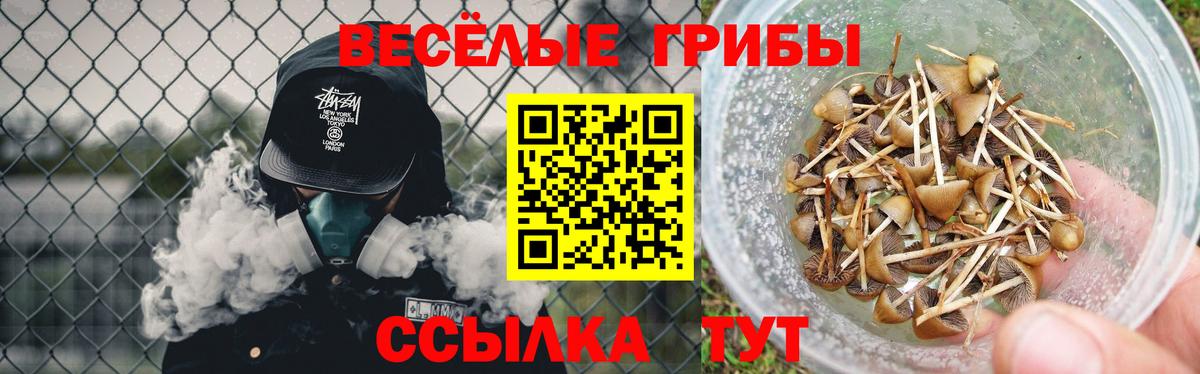 Псилоцибиновые грибы мицелий Рославль